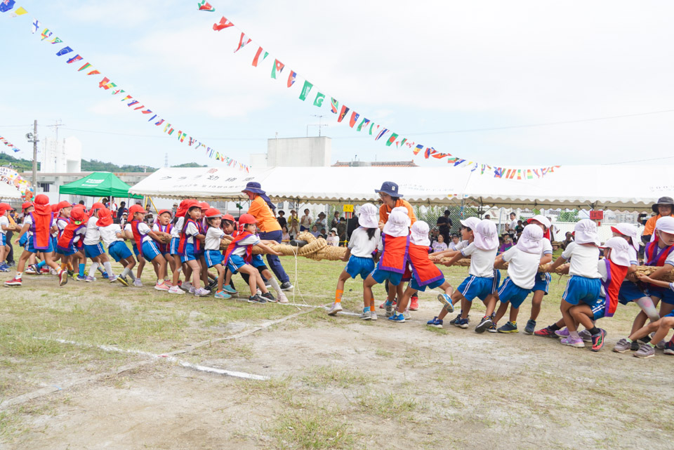 クララ幼稚園 運動会 綱引き