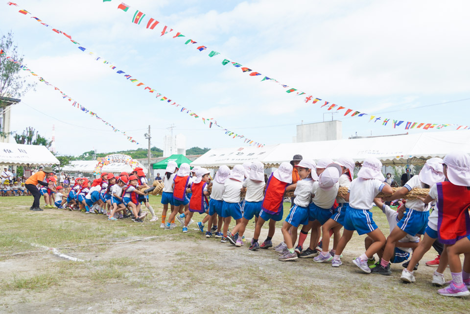 クララ幼稚園 運動会 綱引き