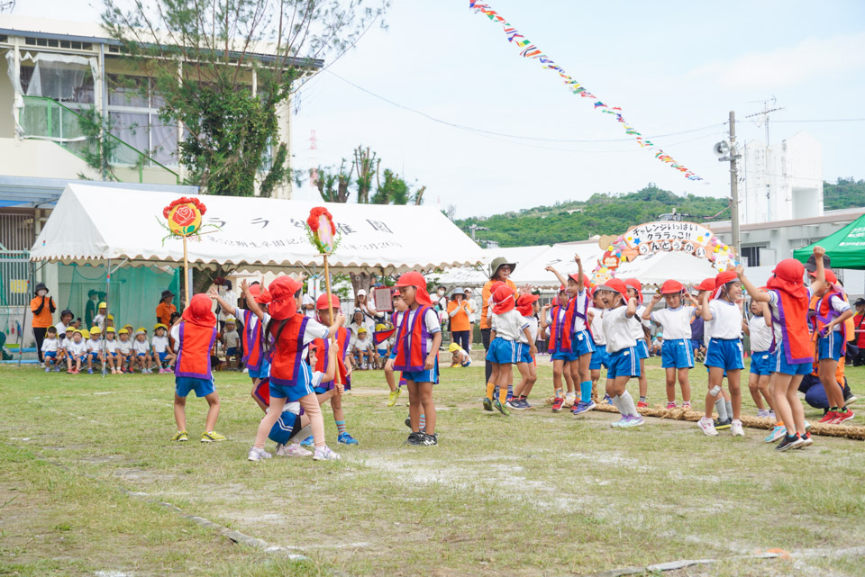 クララ幼稚園 運動会 綱引き