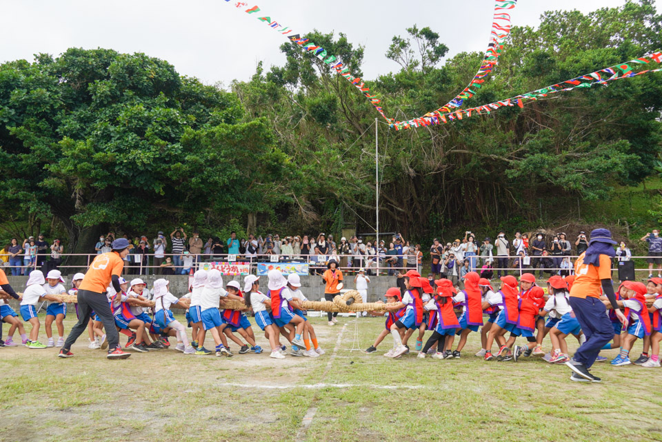 クララ幼稚園 運動会 綱引き